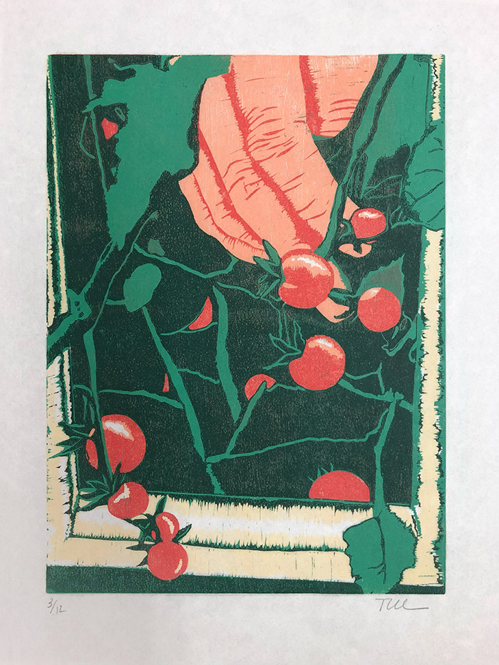 Image of a hand picking red tomatoes